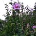 Marti Murphy - Facebook