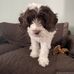 Marti Murphy - Facebook