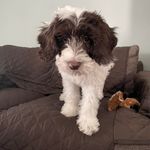 Marti Murphy - @rnmoke - Instagram