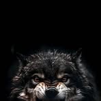 Martial Arts - Facebook