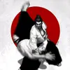Master of Martial Arts 武術大師 ☯ - @master.of.martial.arts - TikTok