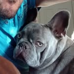 Martin Abbott - @babounne1970 - Instagram