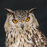 Martin Abbott - @martin.abbott.148 - Instagram