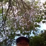 Martin Ahn - @martinahn7 - Instagram