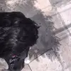 Martin_araque - @martin_araque - TikTok