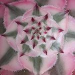 Martin Azzopardi - @martin.azzopardi.35 - Instagram