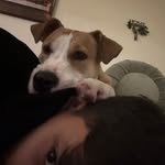 Martin Barcelo - @just_martinbarcelo - Instagram