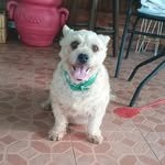Martin Barcelo - @barcelo388 - Instagram