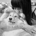 Martine Baron - Facebook