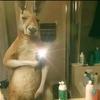 Martin Barrientos - @martin.barrientos87 - TikTok