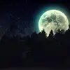 sabtrader_kalashnika09 - @martin_bashtati - TikTok
