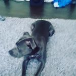 Baylor martin - @baylor_martin - Instagram