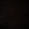 martin beagle - @martin.beagle5 - TikTok