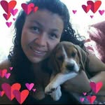 Martin Zuñiga Beagle - @palomita_agustinlove - Instagram