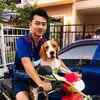 เล่นเป็นเด็ก - @martinobeagle - TikTok