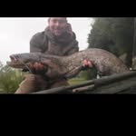 Martin Beale - @beale8096 - Instagram