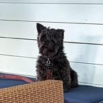 Martin Beale - @martin.beale.1840 - Instagram