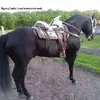 Martin Becerril - @martin.becerril5 - TikTok
