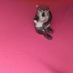 Martin Beck - @_martin_beck - Instagram
