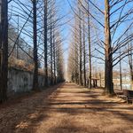 beil9980 - @martin_beil9980 - Instagram