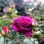 Martin Beil - Facebook