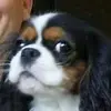 Martin Belza - @martin.belza - TikTok