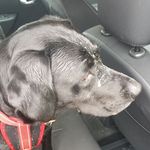 Martin Benson - @martin.benson.73 - Instagram