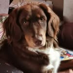 Martina Beringer - @martina.beringer - Instagram