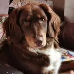 Martina Beringer - @martina.beringer.0609 - Instagram