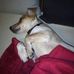 Martin Bertram - Facebook