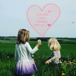 Martin Birch - @danish.dad - Instagram