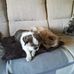 Martin Blount - Facebook
