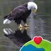 Martin Blume - Facebook