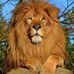 Martin Blume - Facebook