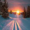 martinblumenichtj - @martinblumenichtj - TikTok