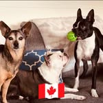 Christa Martin-Boudreau - @clmartin116 - Instagram
