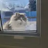 Ginette Martin Boudreau - @ginette.martin.bo - TikTok