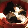 martinboudreau146 - @martinboudreau146 - TikTok
