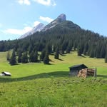 Martin Brenner - @martin_brenner_ - Instagram