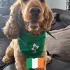 Martin Brewer - @martin.brewer3 - TikTok