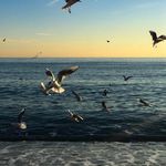 Martin Brown - @martinbrownart - Instagram