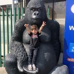 Martin Brown - @martinbrown1p - Instagram