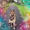 martinebrownlee - @martinebrownlee - TikTok
