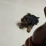 Martin Chiu - @martinchiu - Instagram