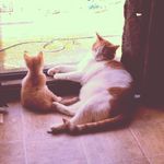 Martin & Freddie - @martinchubbs - Instagram