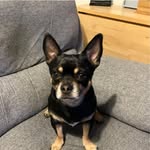 Martin Chubb - @chubbmartin - Instagram