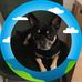 Martin Chubb - Facebook