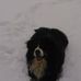 Martin Cleaver - Facebook