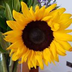 martin@clifton - @martin__clifton - Instagram