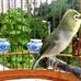 Martin Coates - Facebook